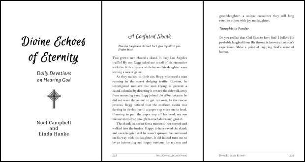 Divine Echoes of Eternity Excerpt