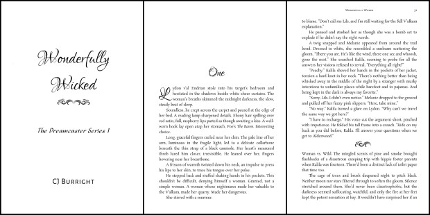 Wickedly Wonderful Excerpt